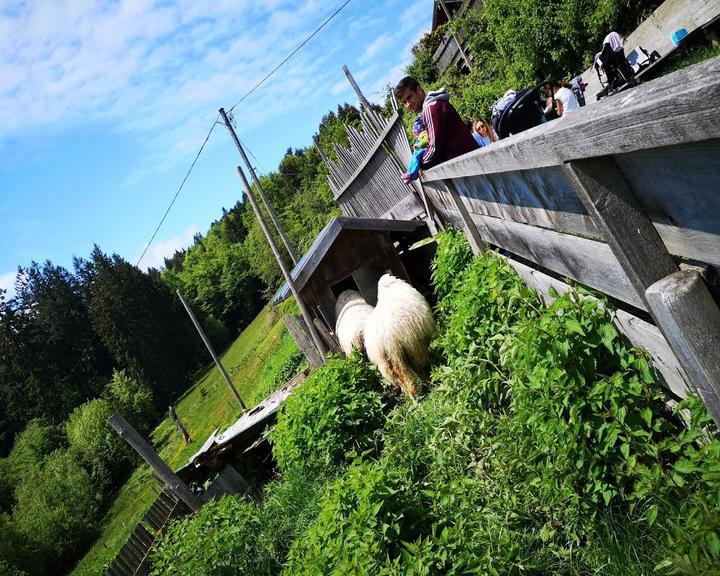 Berggasthof Taubenberg